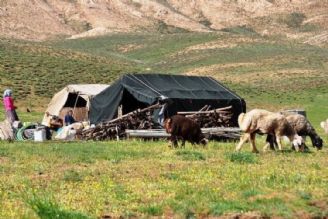 رئیس سازمان بسیج جامعه عشایری كشور از خدمات رسانی به روستاهای محروم و عشایر كشور خبر داد 