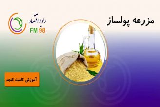 چه محصولاتی و چگونه می توانند برای ما درآمدزایی داشته باشند؟