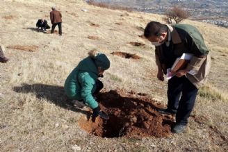 پویش مردمی بذركاری برای احیای جنگل های زاگرس