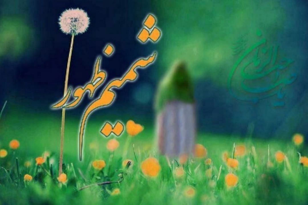 شمیم ظهور