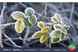 حال و هوای زمستان در «شیرین سو» همدان