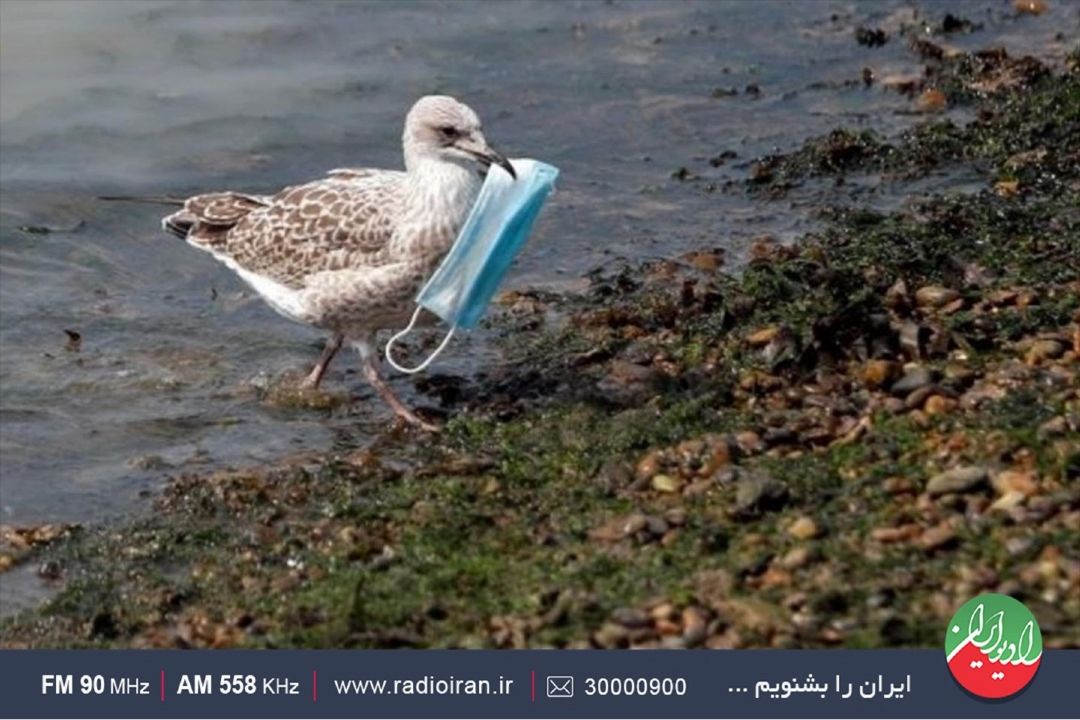 ماهانه 43 میلیارد ماسك یكبار مصرف تولید می شود