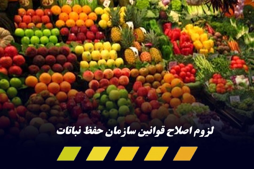 راه‌اندازی سامانه شناسه دار