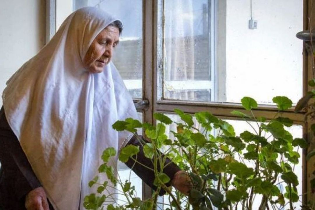 قطعه محلی با عنوان «دایكامن» با صدای حمید علی نیا