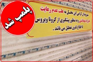 واحدهای صنفی متخلف 30 روز پلمب می‌شوند+فایل صوتی