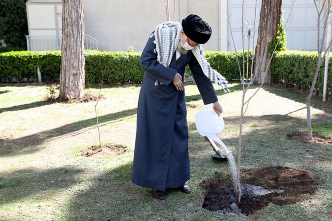 كاشت دو نهال میوه توسط رهبر انقلاب