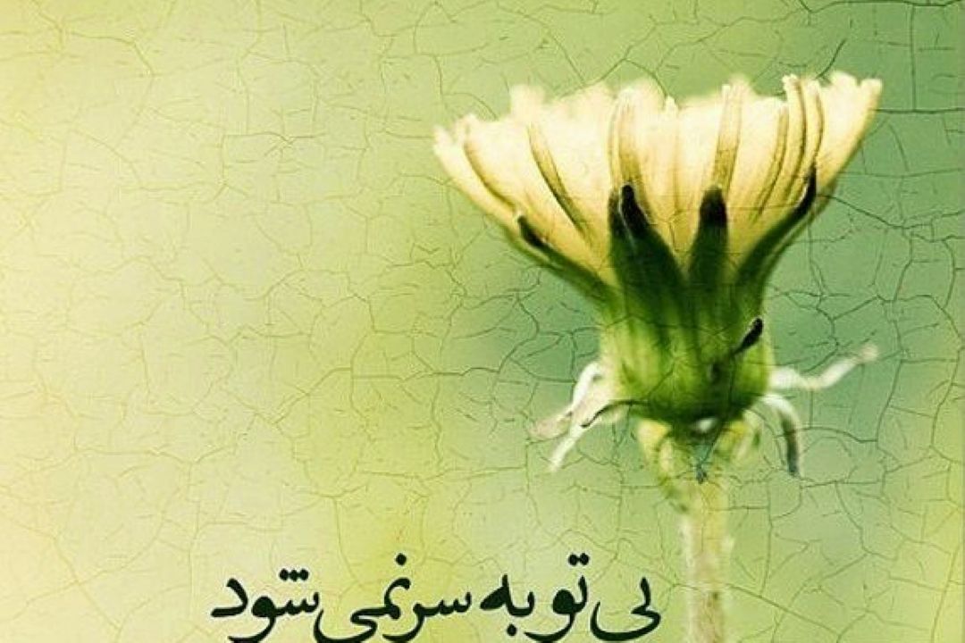 دعای ندبه