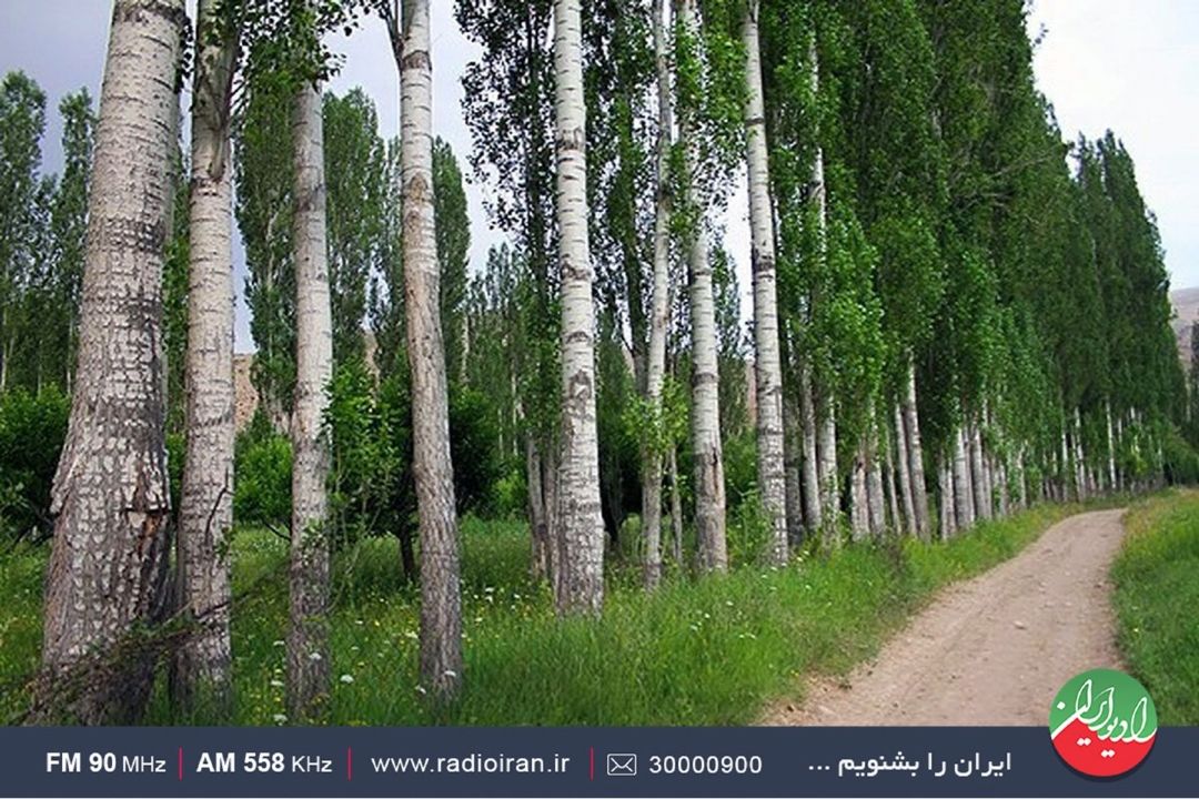 سفری به روستای «ارجمند» در راهی به آبادی از رادیو ایران