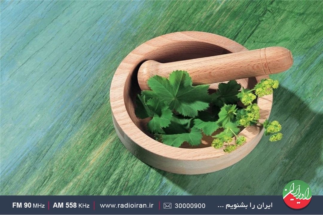 گیاهان انرژی اطراف را درك می كنند