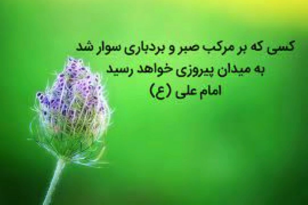 تأكید سوره مباركه عصر بر دعوت یكدیگر برای انجام كارهای نیك و صبوری