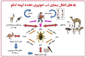  آیا تب خونریزی‌دهنده كریمه كنگو قابل پیشگیری و درمان است؟+فایل صوتی