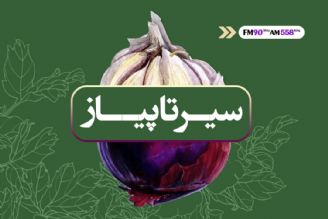 سیر تا پیاز 